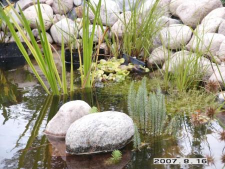 gallery_5956_1121_20835.jpg