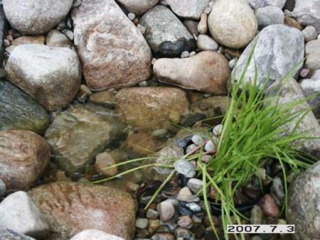 gallery_5956_1121_32387.jpg