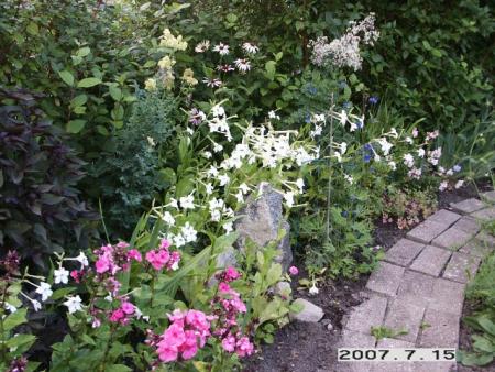 gallery_5956_1121_35148.jpg