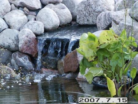 gallery_5956_1121_38105.jpg