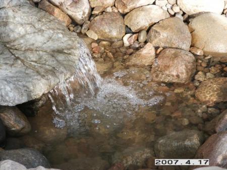 gallery_5956_1121_49494.jpg