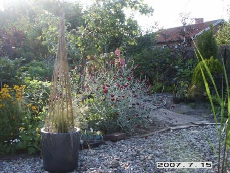 gallery_5956_1121_56309.jpg