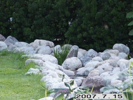 gallery_5956_1121_63128.jpg
