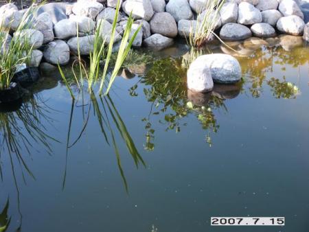 gallery_5956_1121_6460.jpg