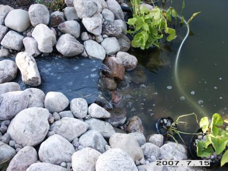 gallery_5956_1121_67208.jpg