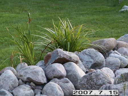 gallery_5956_1121_68292.jpg
