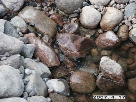 gallery_5956_1121_6907.jpg