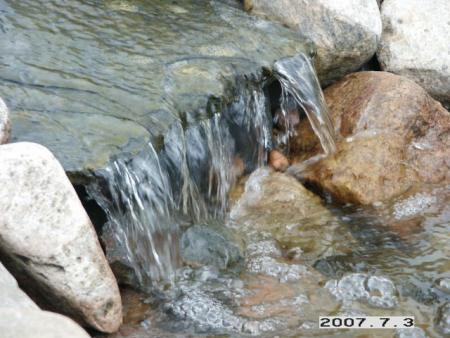 gallery_5956_1121_74586.jpg