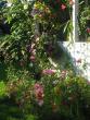 tn_gallery_5006_1122_76818.jpg