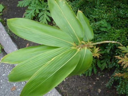gallery_1053_1123_10910.jpg