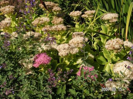 gallery_1786_952_228180.jpg