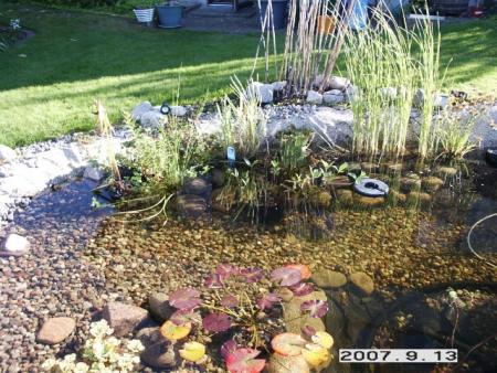 gallery_5956_1121_79431.jpg