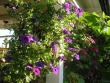 tn_gallery_5006_1122_96191.jpg