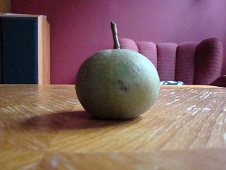 gallery_12528_1136_23000.jpg