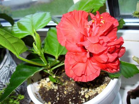 gallery_10231_831_78507.jpg