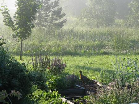 gallery_9255_981_62127.jpg