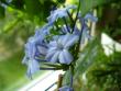 tn_gallery_10231_957_4784.jpg