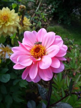 gallery_5307_1007_11120.jpg