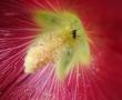 tn_gallery_2529_1143_7324.jpg
