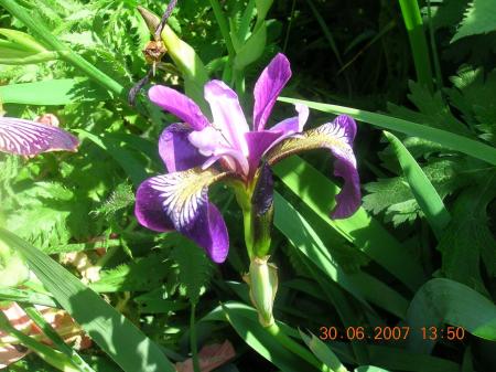 gallery_2484_1151_101186.jpg