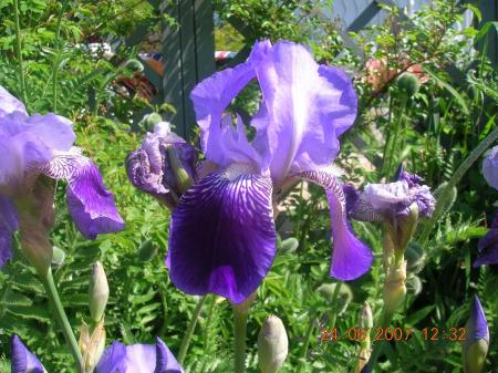 gallery_2484_1151_3067.jpg
