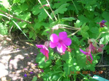gallery_2484_1152_146235.jpg