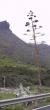 tn_gallery_2529_1142_45381.jpg