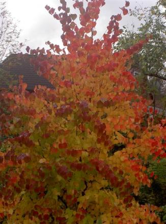 gallery_834_1080_11476.jpg
