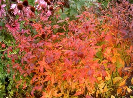 gallery_834_1080_13074.jpg