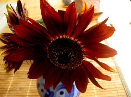 gallery_834_1080_38379.jpg
