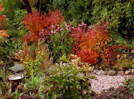 gallery_834_1080_3921.jpg