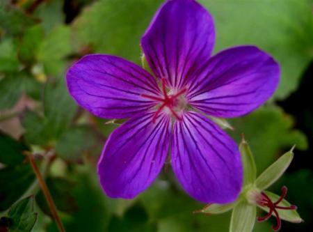 gallery_834_1080_6845.jpg