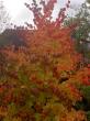 tn_gallery_834_1080_11476.jpg