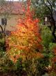 tn_gallery_834_1080_3006.jpg