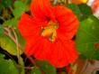 tn_gallery_834_1080_6700.jpg