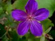 tn_gallery_834_1080_6845.jpg