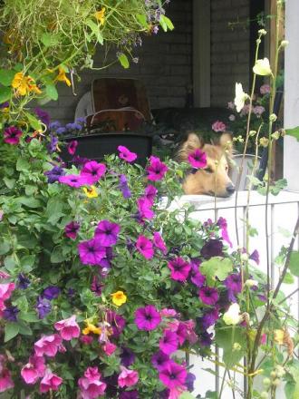 gallery_5006_1122_72349.jpg