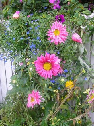gallery_5006_1122_93860.jpg