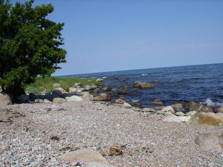 gallery_5307_609_112803.jpg