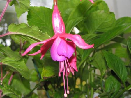 gallery_9255_1156_20242.jpg