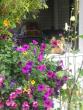tn_gallery_5006_1122_72349.jpg
