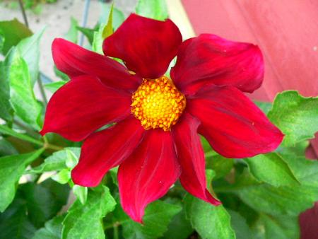 gallery_2746_1161_44946.jpg