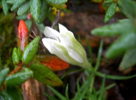 gallery_834_1080_28026.jpg