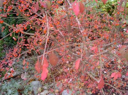 gallery_834_1080_72573.jpg