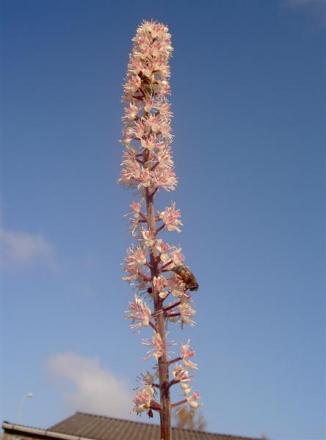gallery_834_1080_7517.jpg