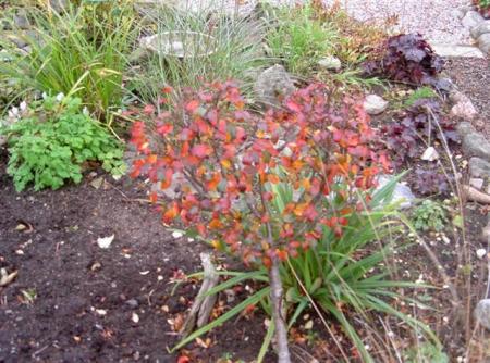 gallery_834_1080_84441.jpg