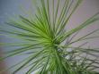 tn_gallery_1011_1162_24262.jpg