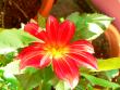 tn_gallery_2746_1161_68107.jpg