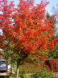 tn_gallery_834_1080_43571.jpg