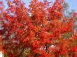 tn_gallery_834_1080_47582.jpg